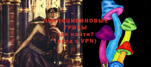 apvp Арсеньев