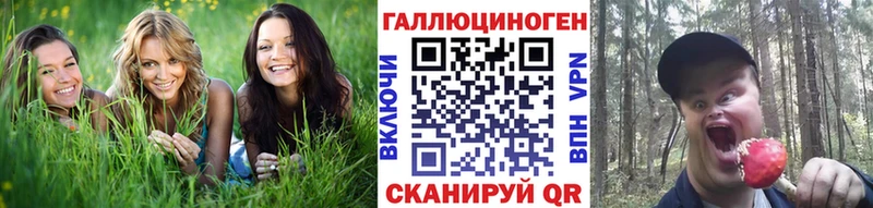 Псилоцибиновые грибы Cubensis купить наркотики цена Пролетарск